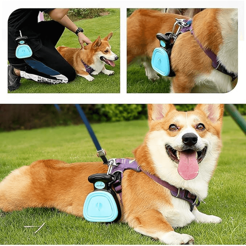 CoolPawz™️ SwiftScoop