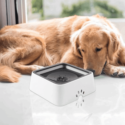 CoolPawz™️ Anti-Spill Water Bowl