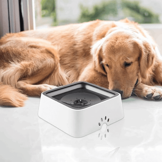 CoolPawz™️ Anti-Spill Water Bowl